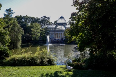 Retiro Park, Madrid