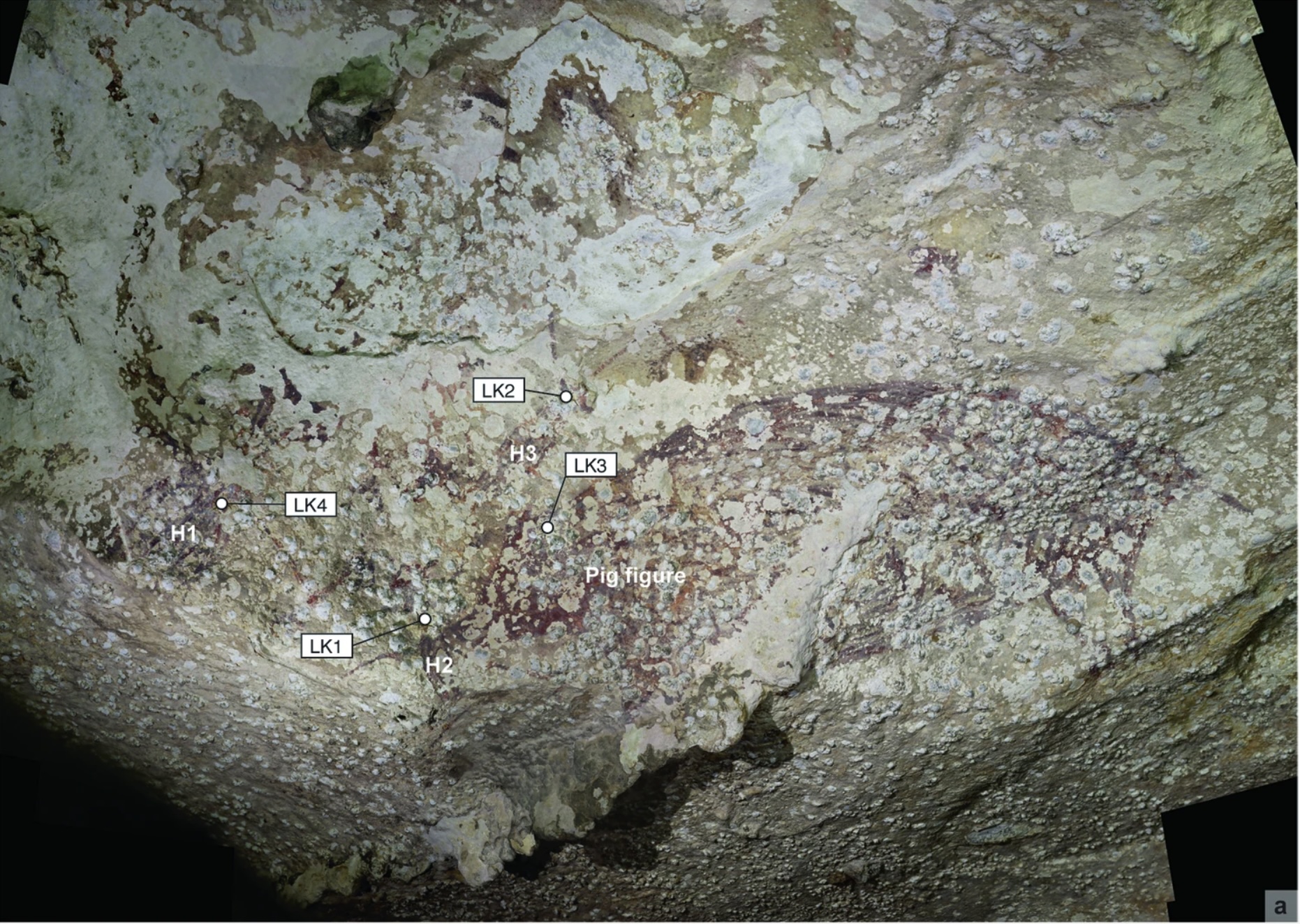 World's Oldest Known Cave Painting Found in Indonesia