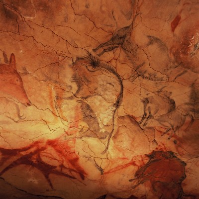 paintings of animals on the walls of a cave in Altamira, Spain